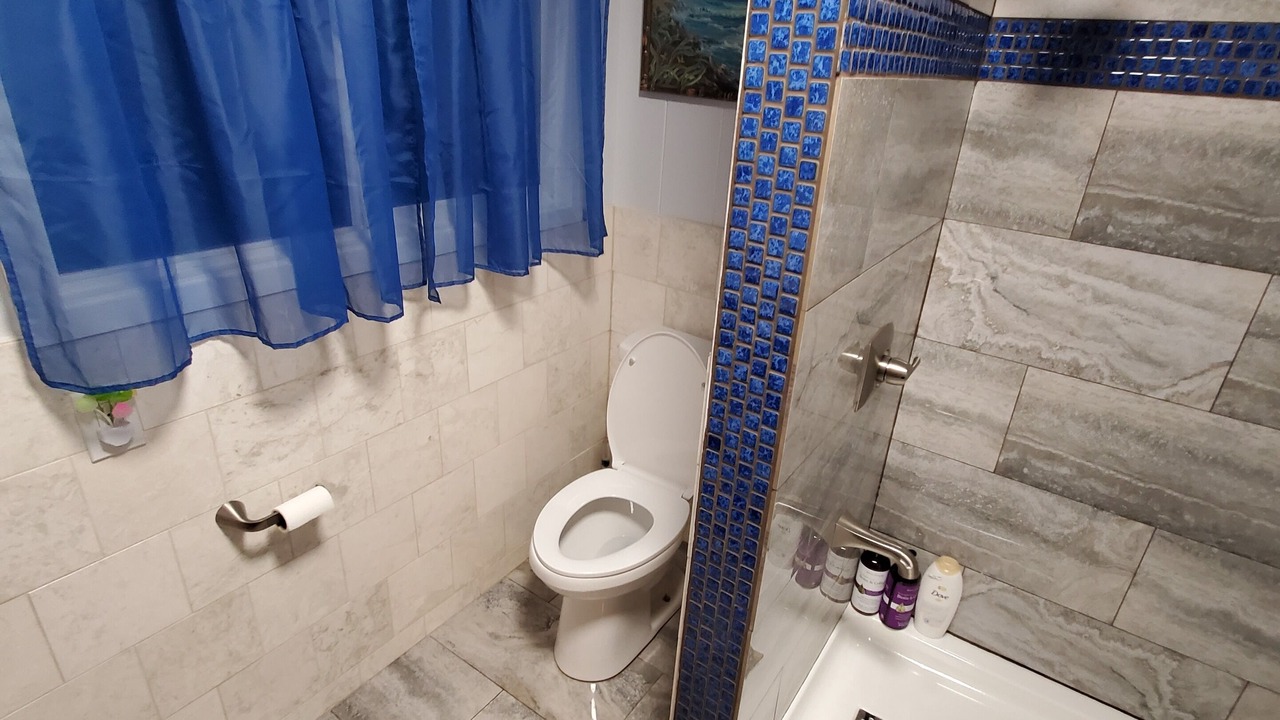 Photo of Bathroom in Waialua