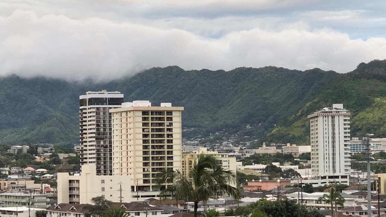 Photo of Others in McCully - Moiliili