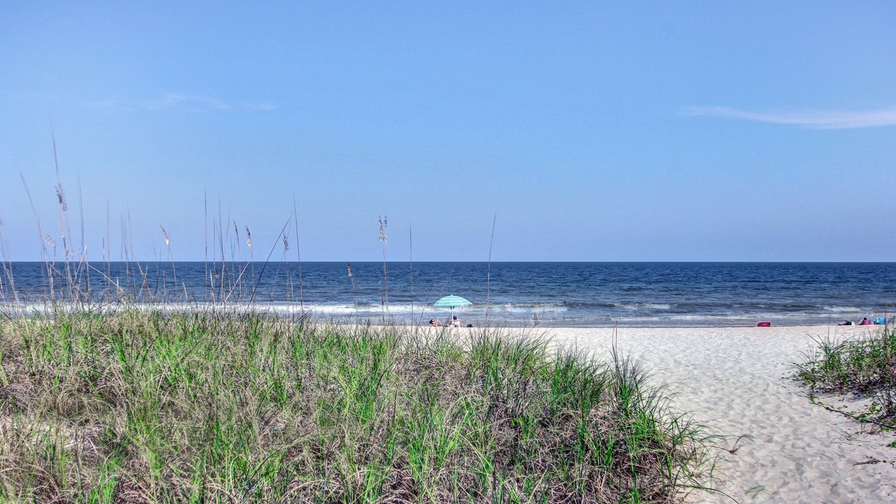 Photo of Others in Amelia City