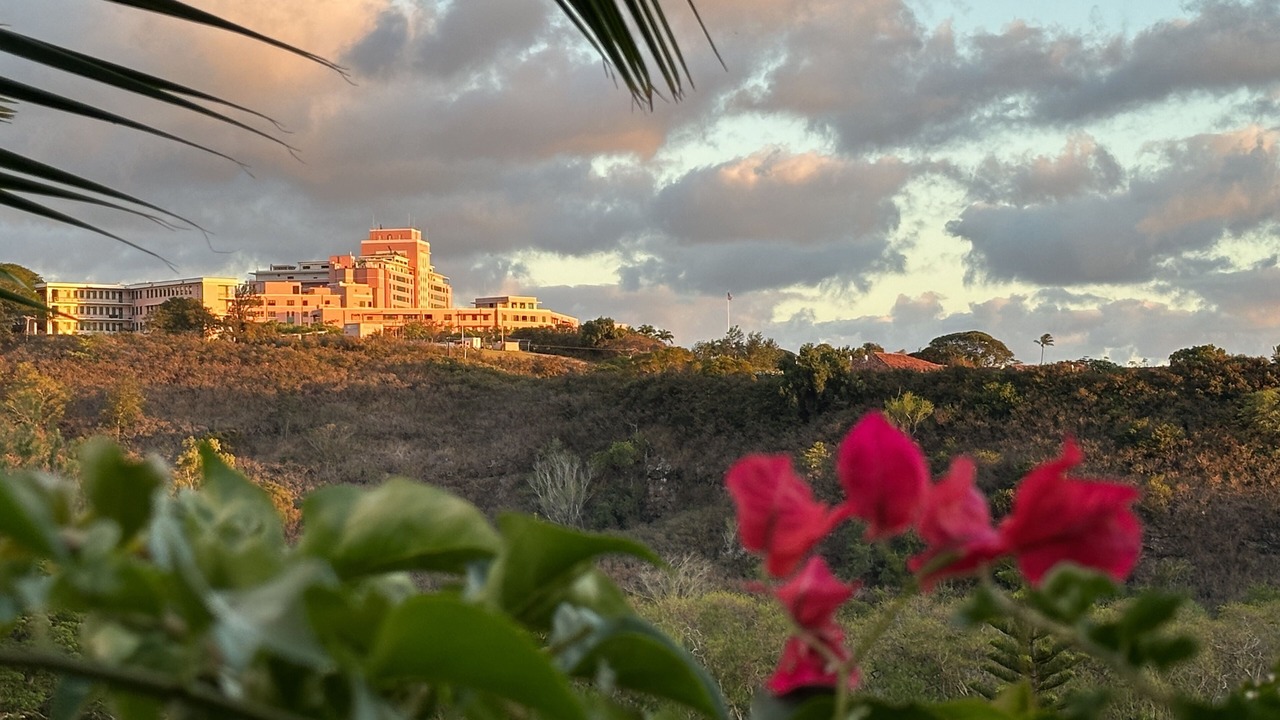 Photo of Outdoor in Moanalua
