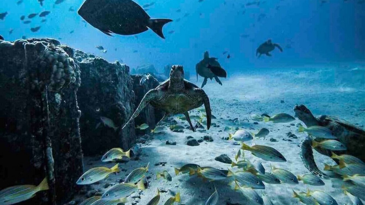 Photo of Others in Makaha Valley