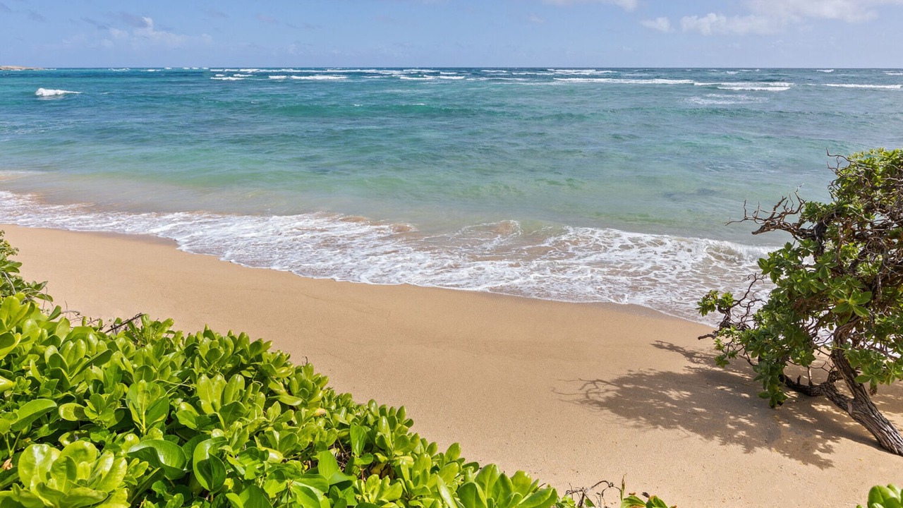 Photo of Others in Laie