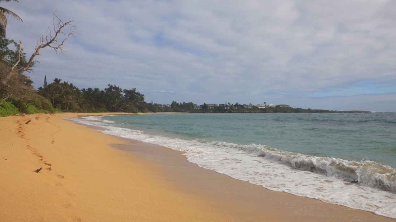 Photo of Others in Laie