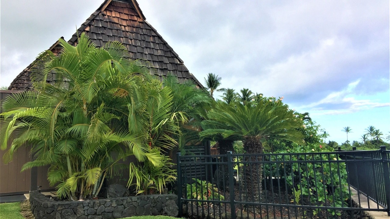 Photo of Outdoor in Punaluu