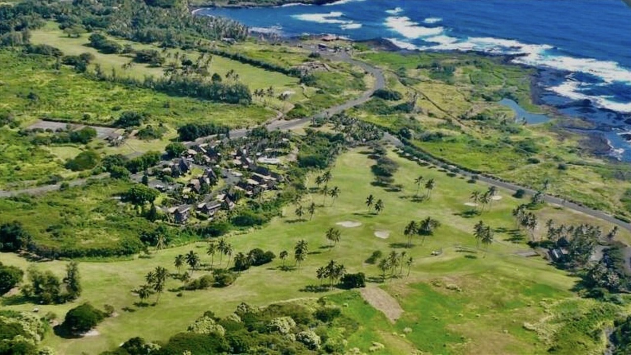 Photo of Outdoor in Punaluu