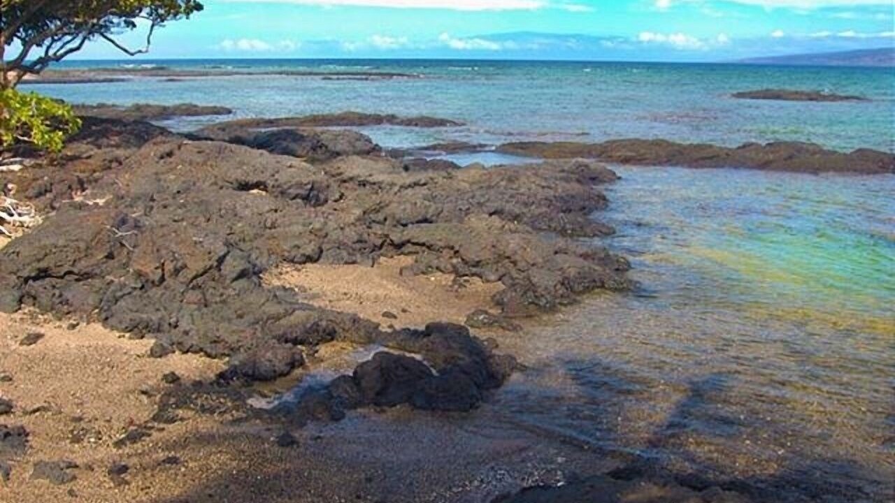 Photo of Others in Puako
