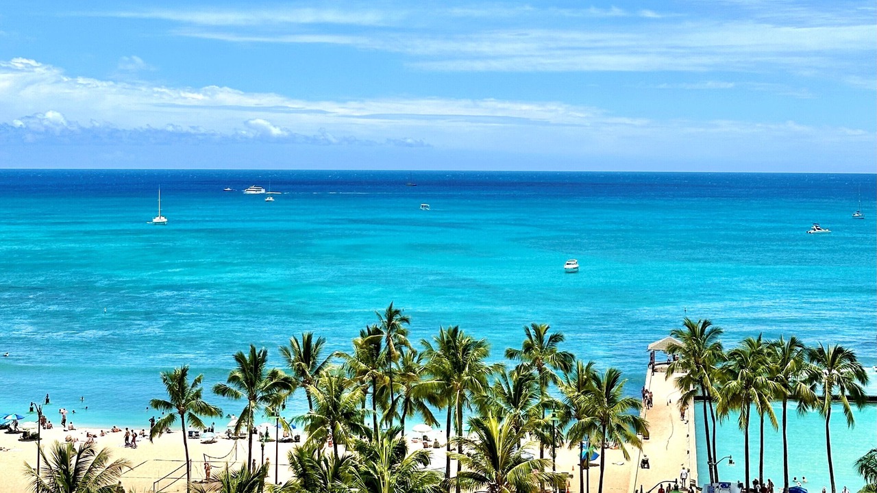 Photo of Others in Waikiki