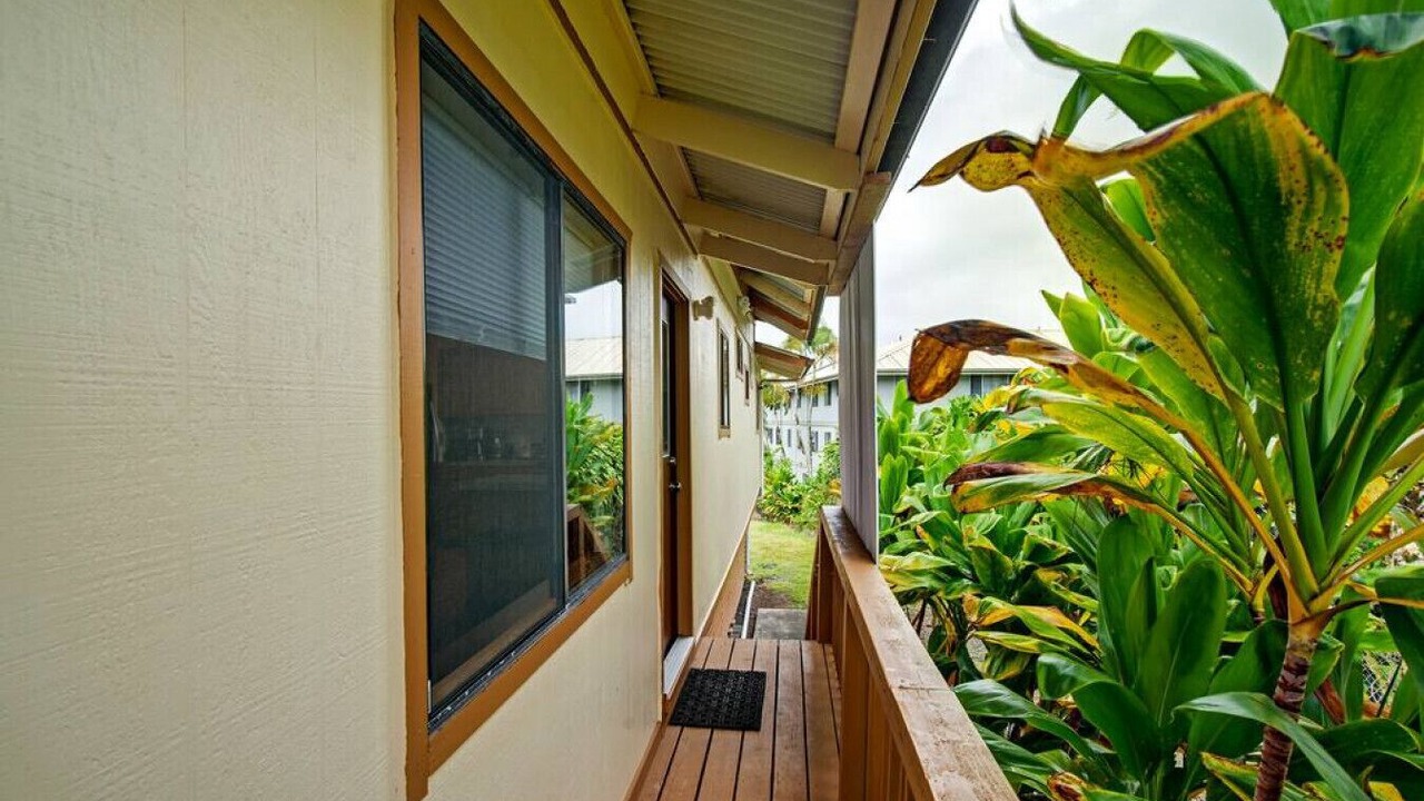 Photo of Outdoor in Hilo