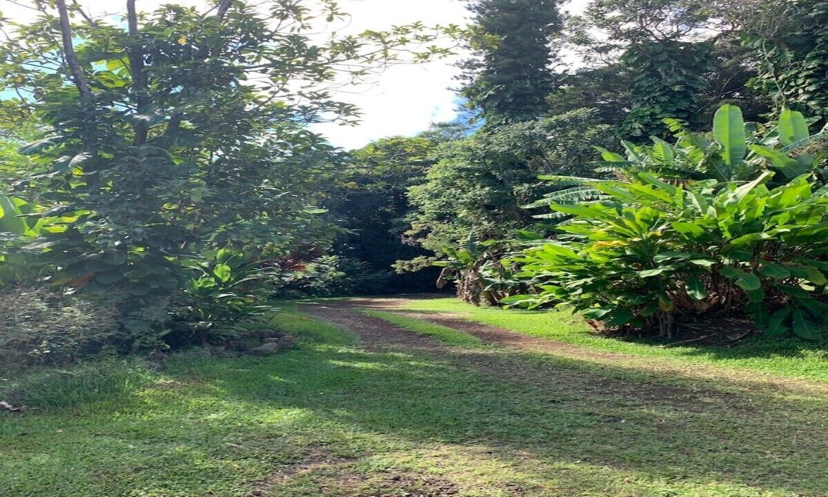 Photo of Outdoor in Hana
