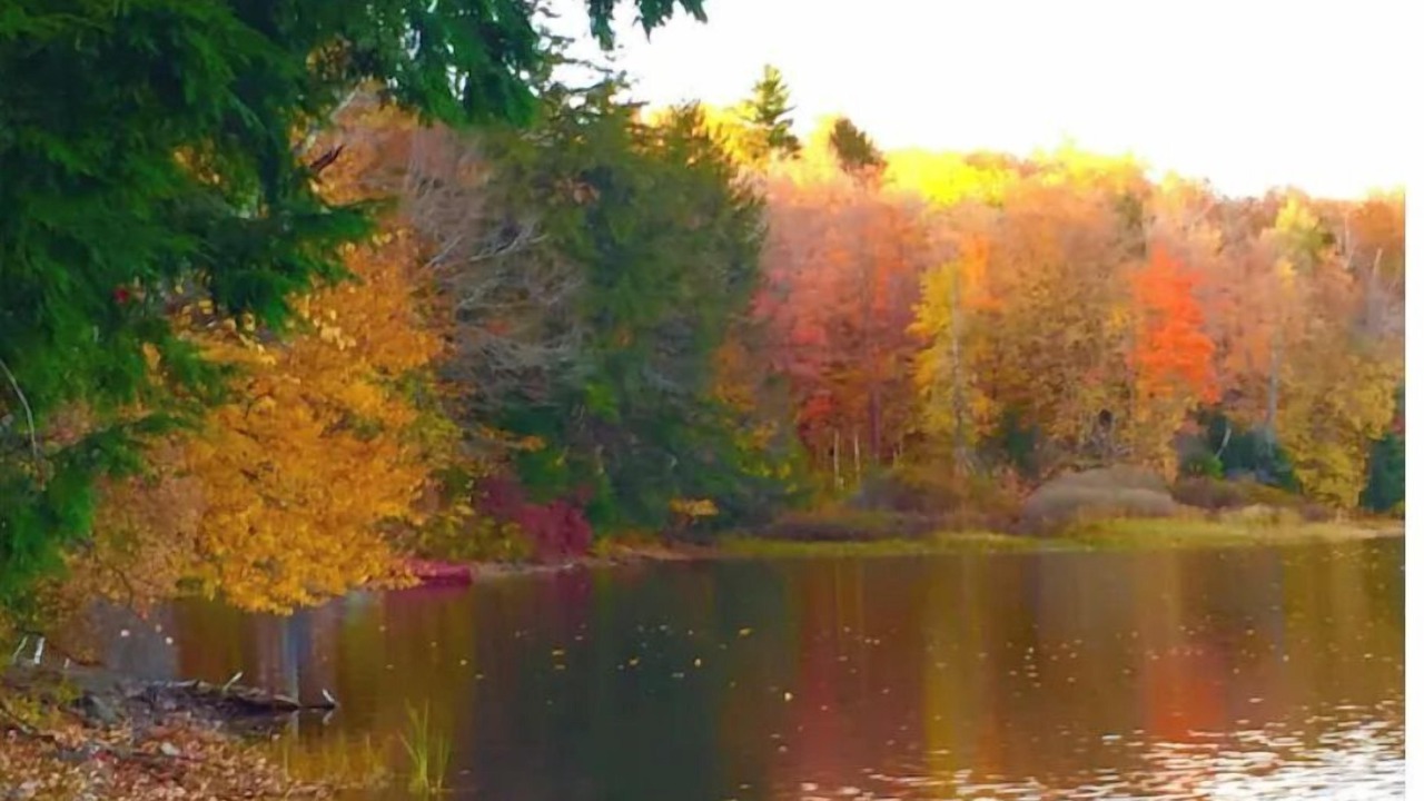 Photo of Outdoor in Dryden