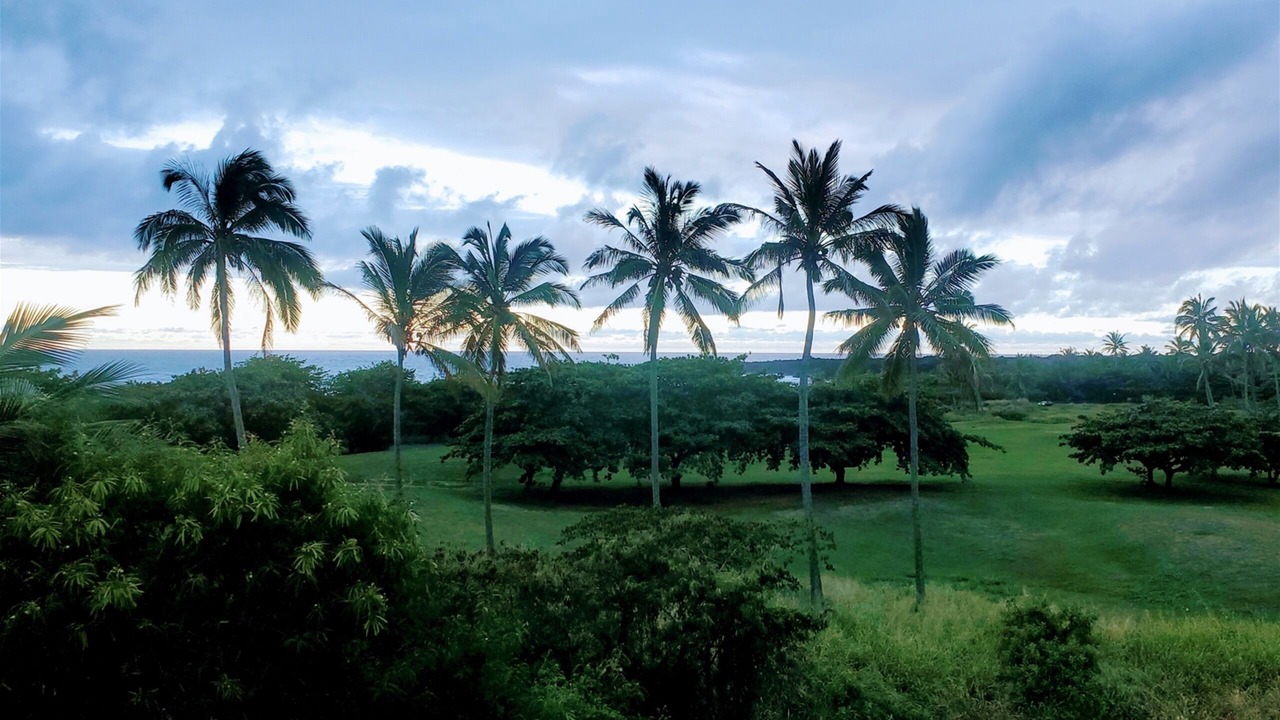 Photo of Others in Punaluu