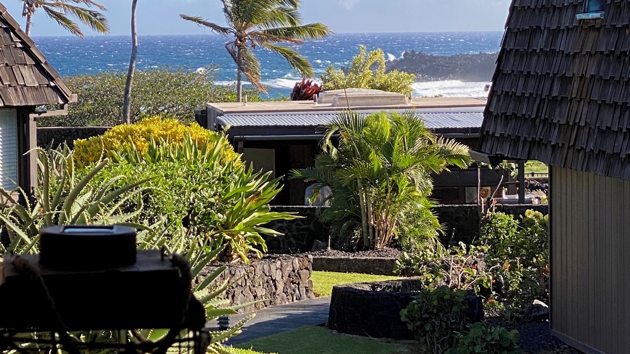 Photo of Outdoor in Punaluu
