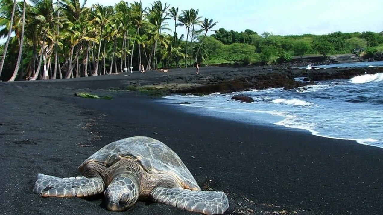 Photo of Others in Punaluu
