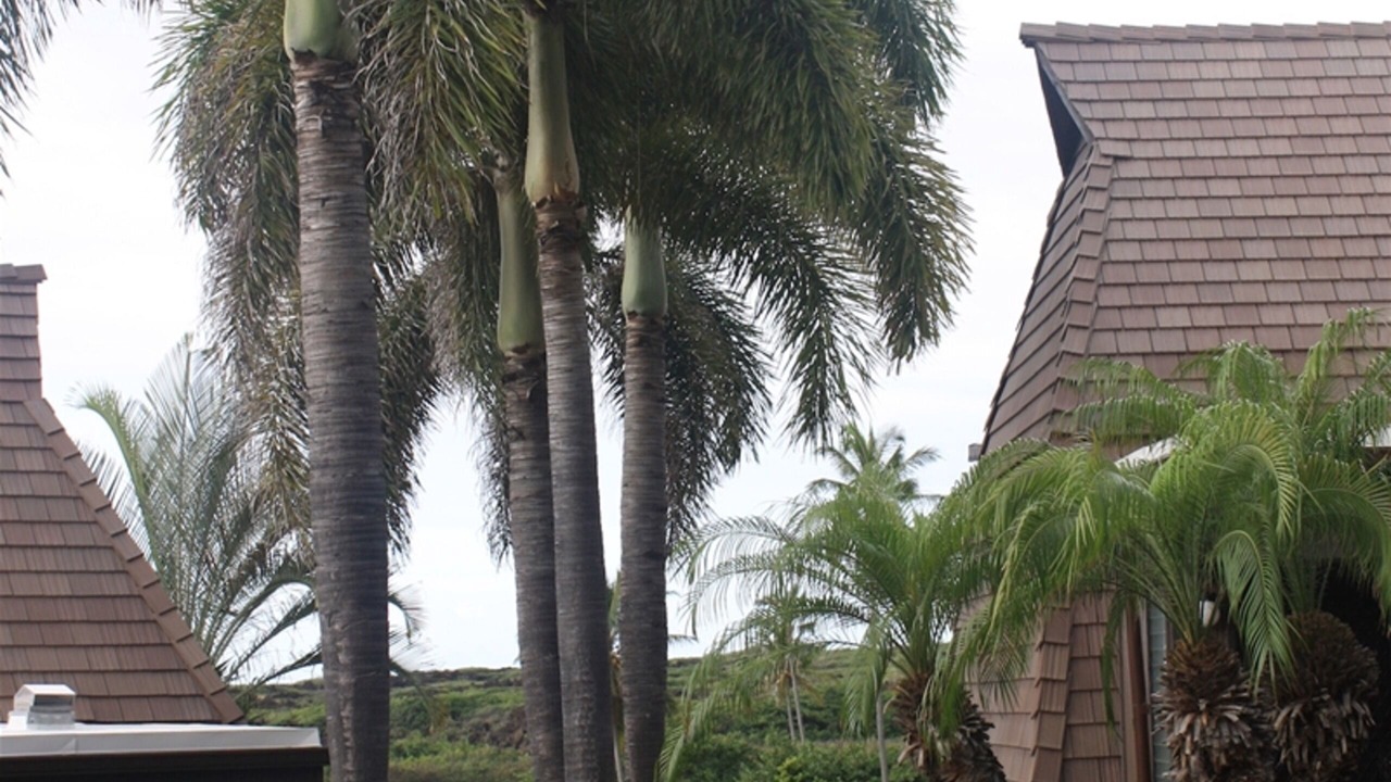 Photo of Bedroom in Punaluu