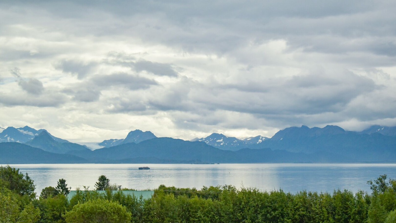 Photo of Others in Kachemak