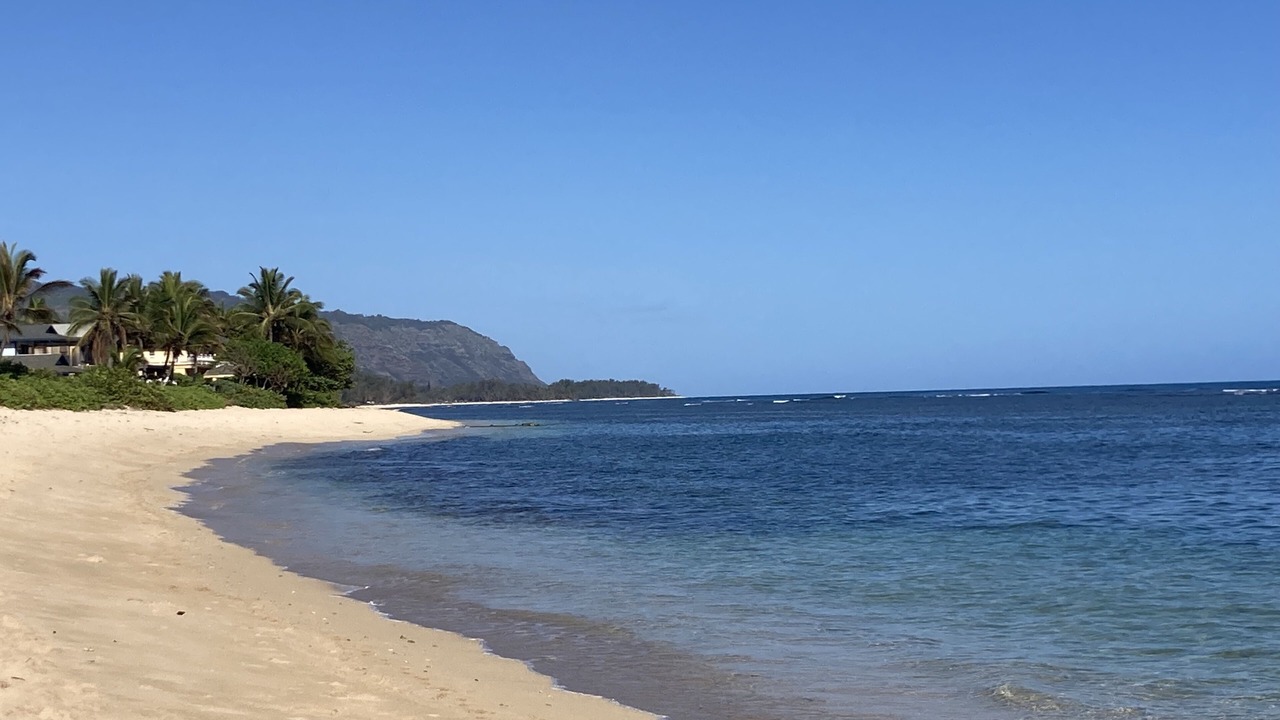 Photo of Others in Mokuleia