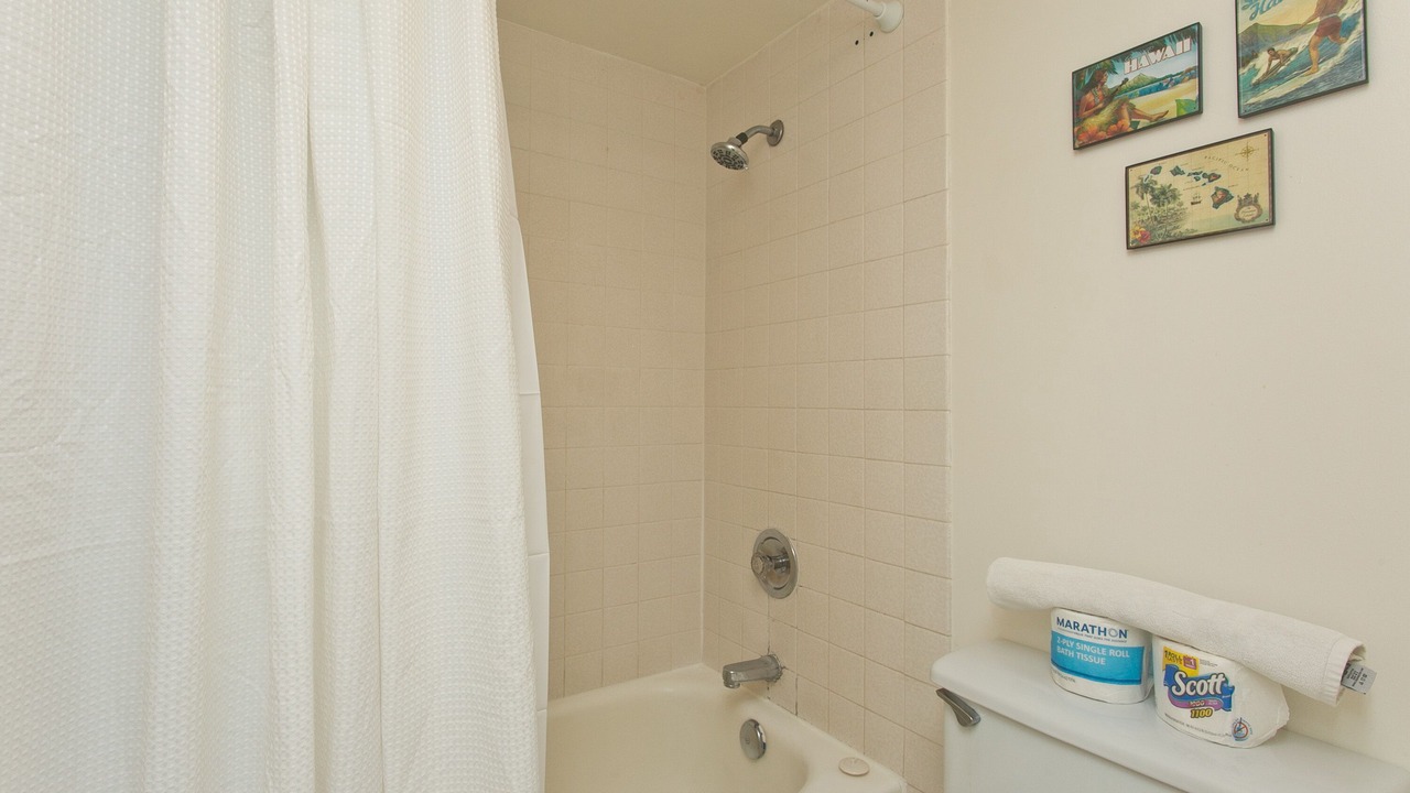 Photo of Bathroom in Ala Moana