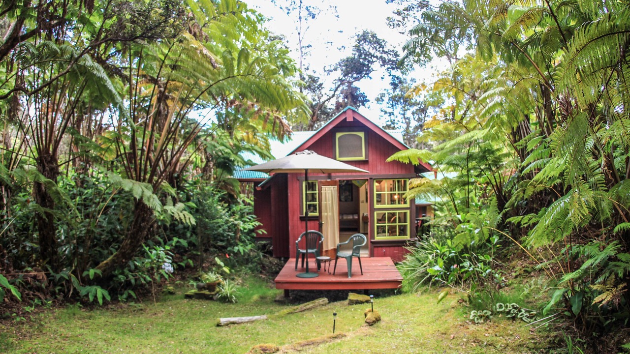Photo of Outdoor in Volcano