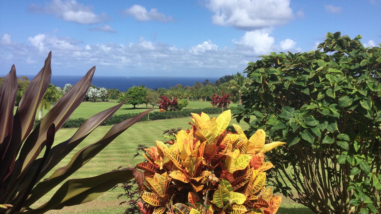 Photo of Outdoor in Honomu