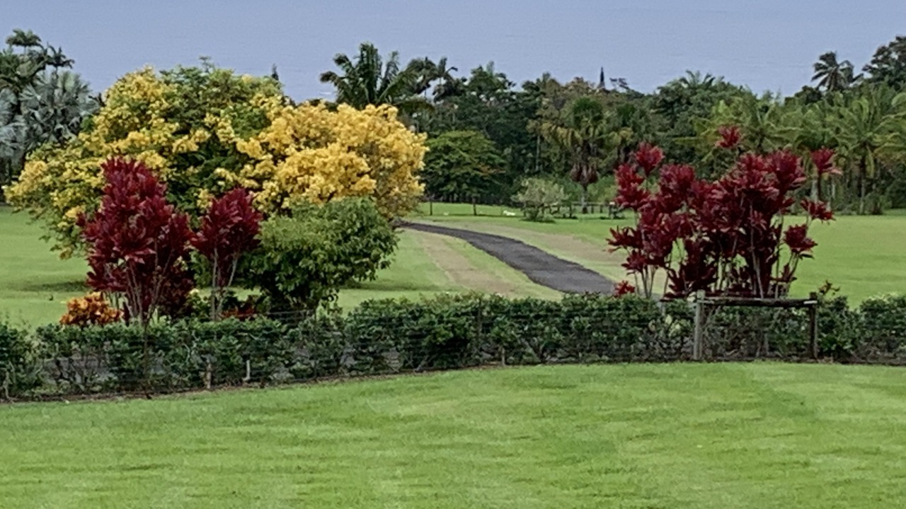 Photo of Outdoor in Honomu