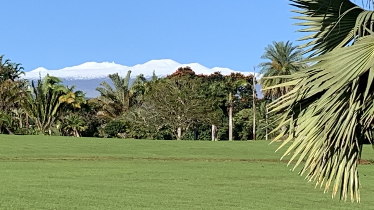 Photo of Others in Honomu