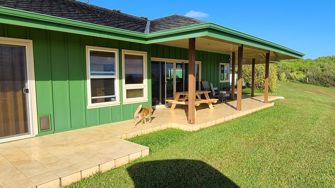 Photo of Outdoor in Kapaau