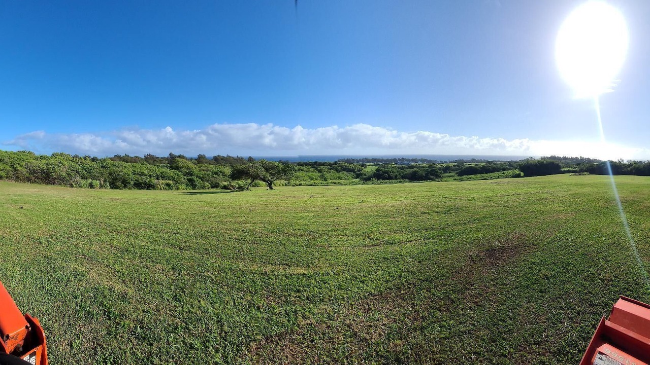 Photo of Others in Kapaau