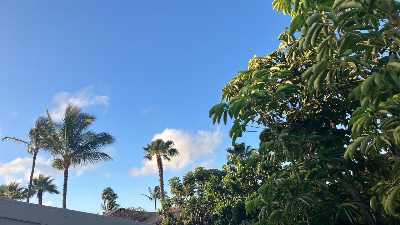 Photo of Others in Maunaloa