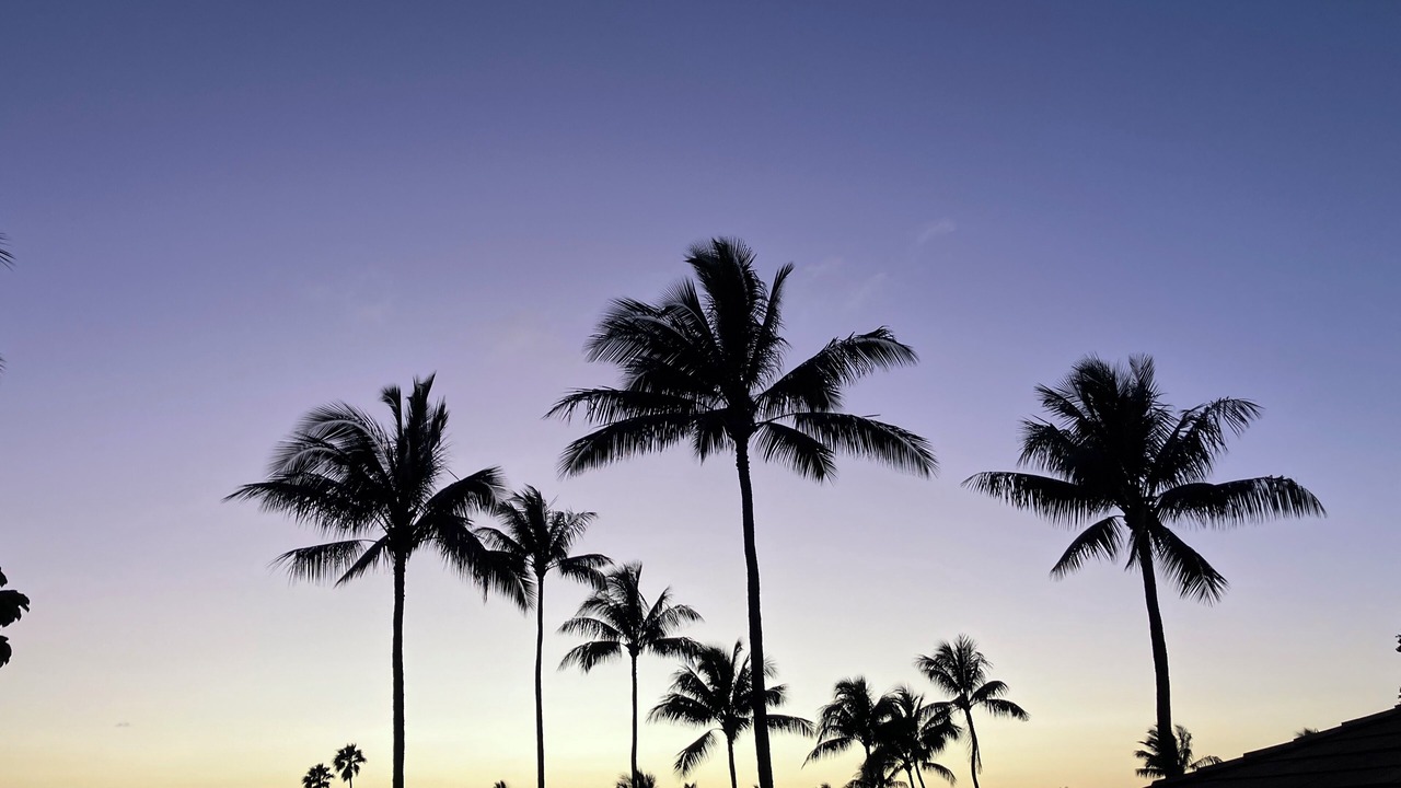 Photo of Others in Maunaloa