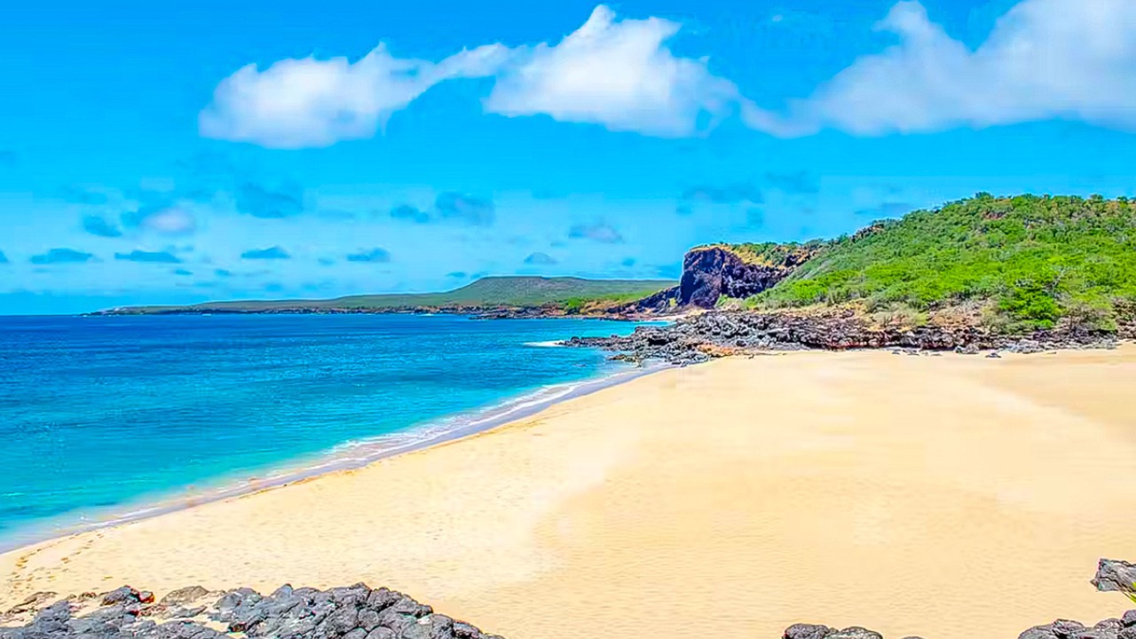 Photo of Others in Maunaloa