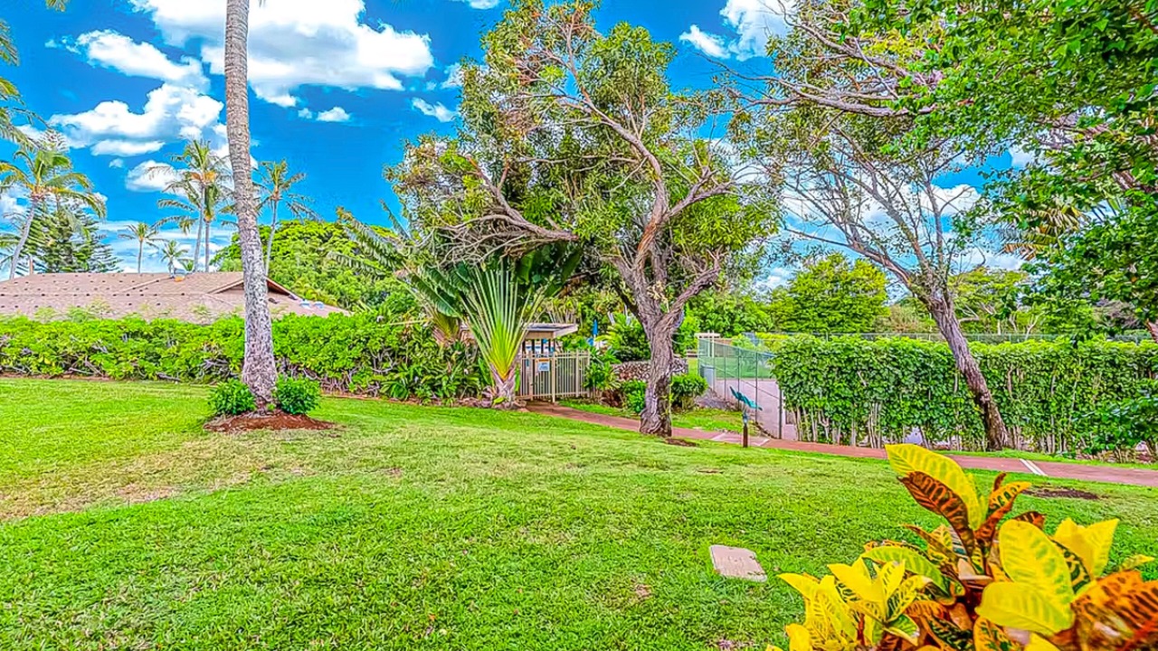 Photo of Outdoor in Maunaloa