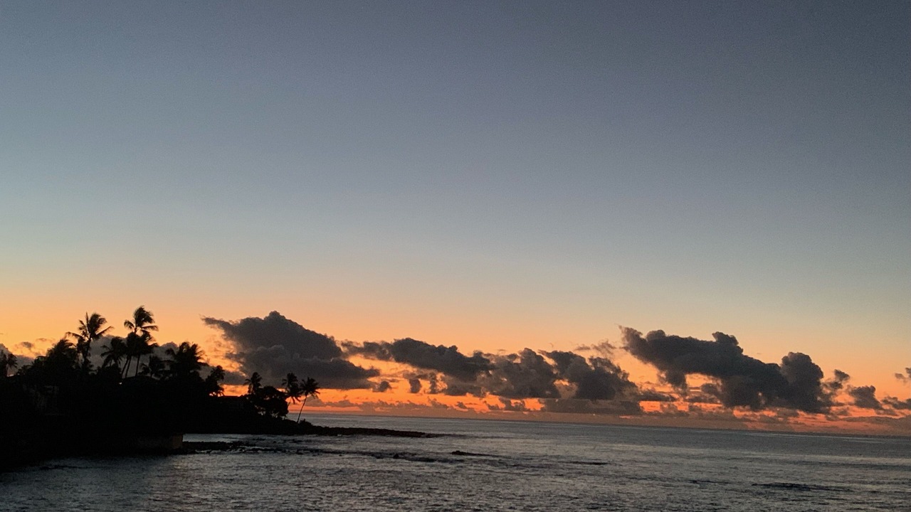 Photo of Others in Koloa