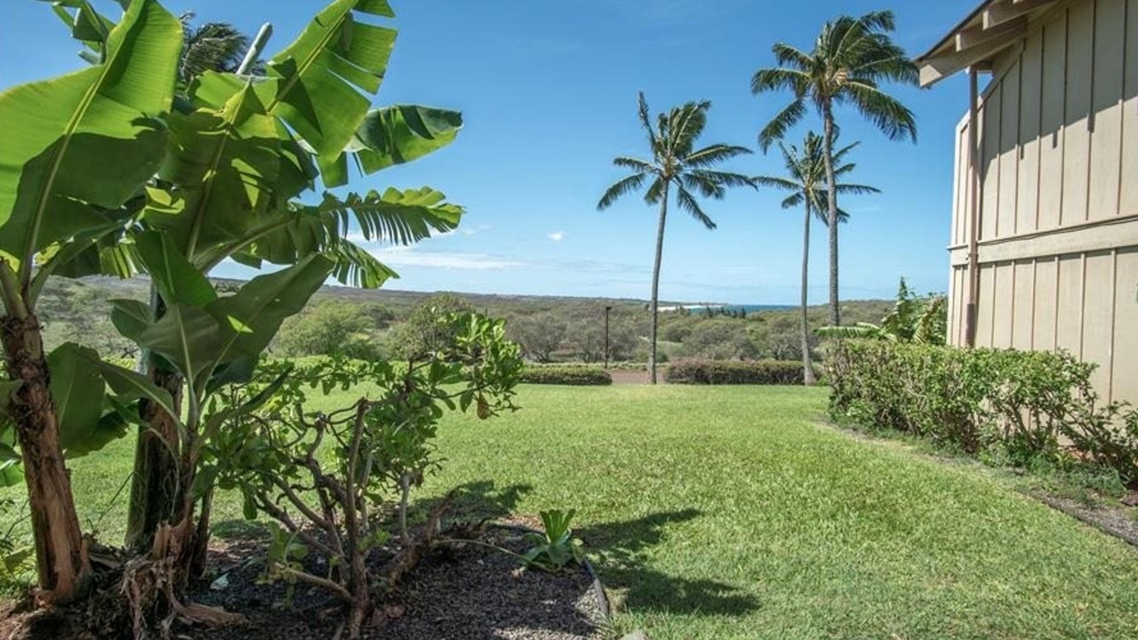 Photo of Outdoor in Maunaloa