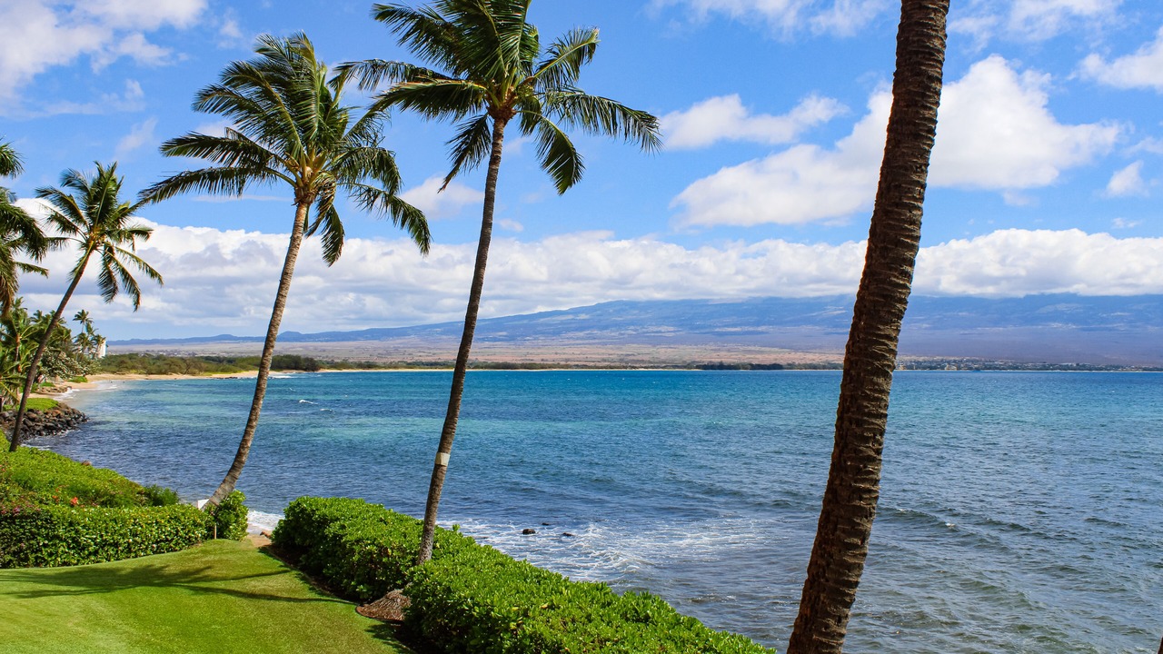 Photo of Others in Maalaea