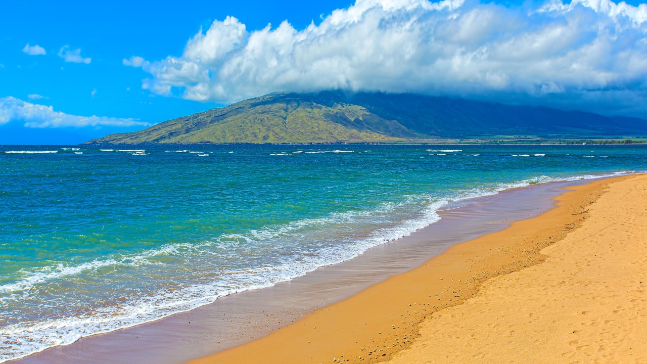 Photo of Others in Maalaea