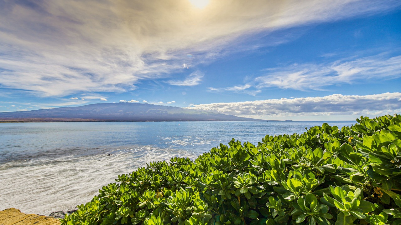Photo of Others in Maalaea