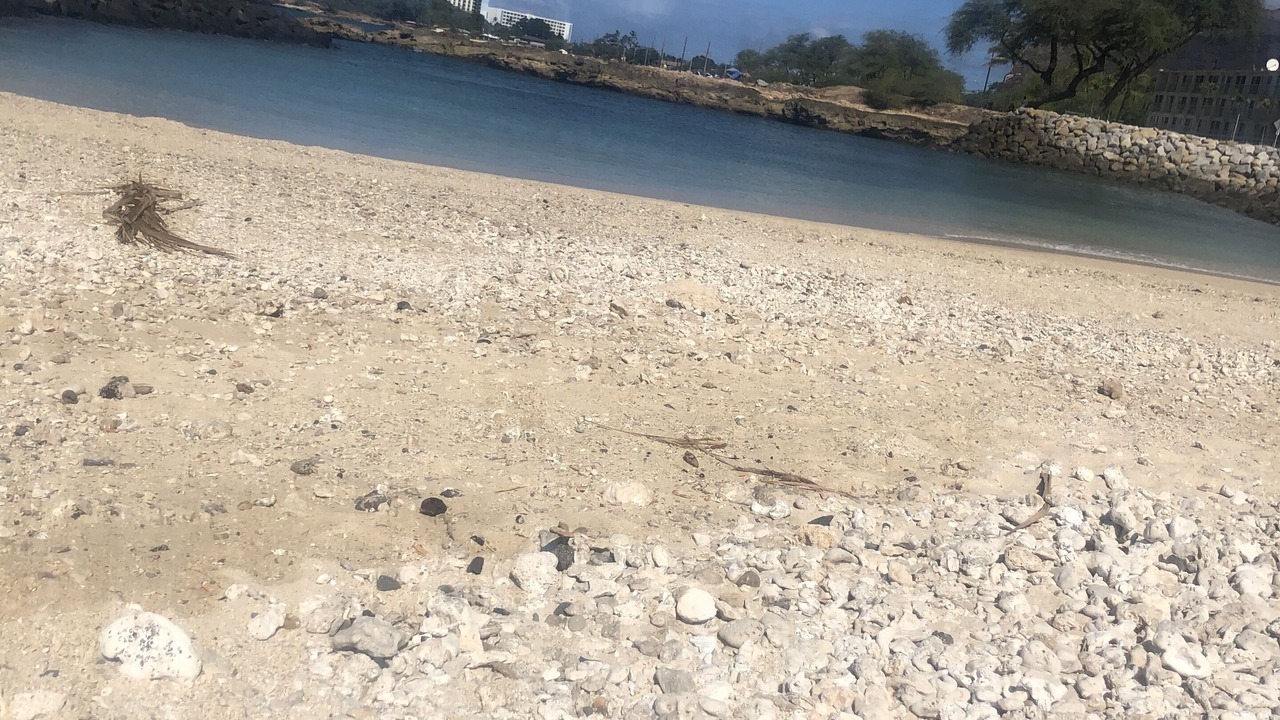 Photo of Others in Makaha