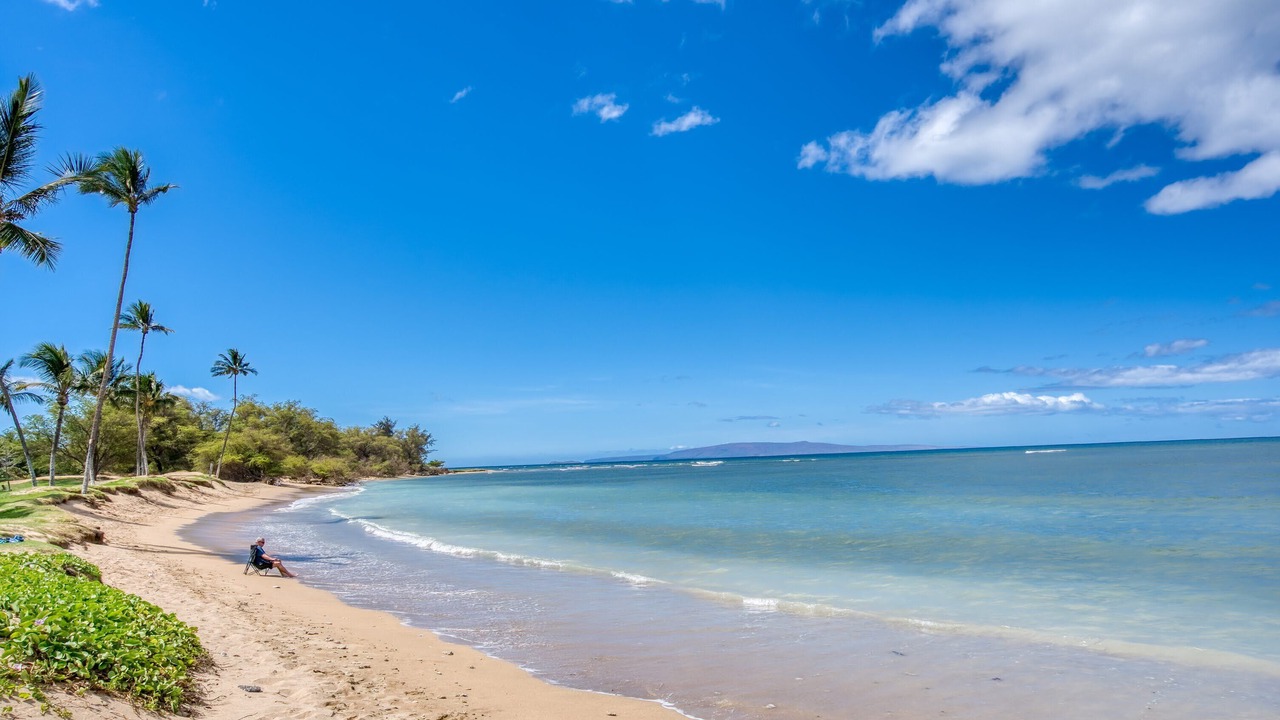 Photo of Others in Kihei