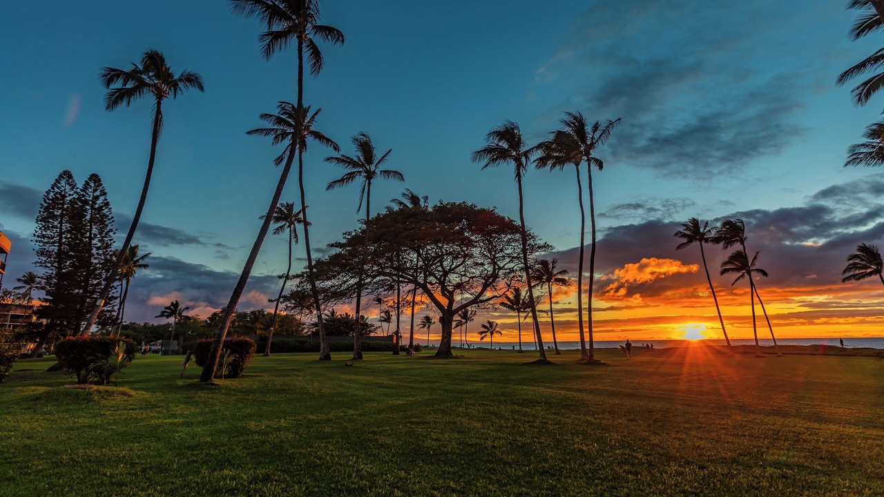 Photo of Others in Kihei