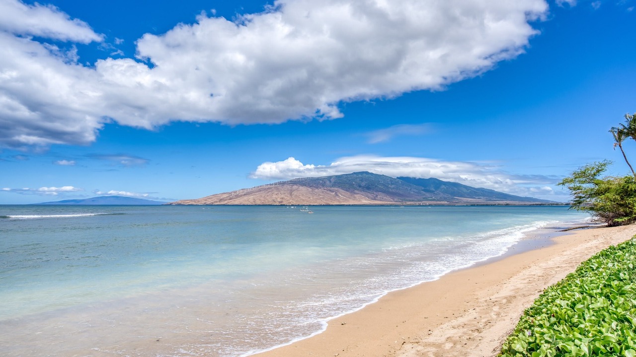 Photo of Others in Kihei