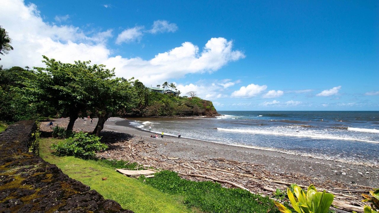 Photo of Others in Hilo