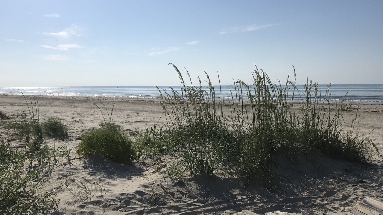 Photo of Others in Beachside Village