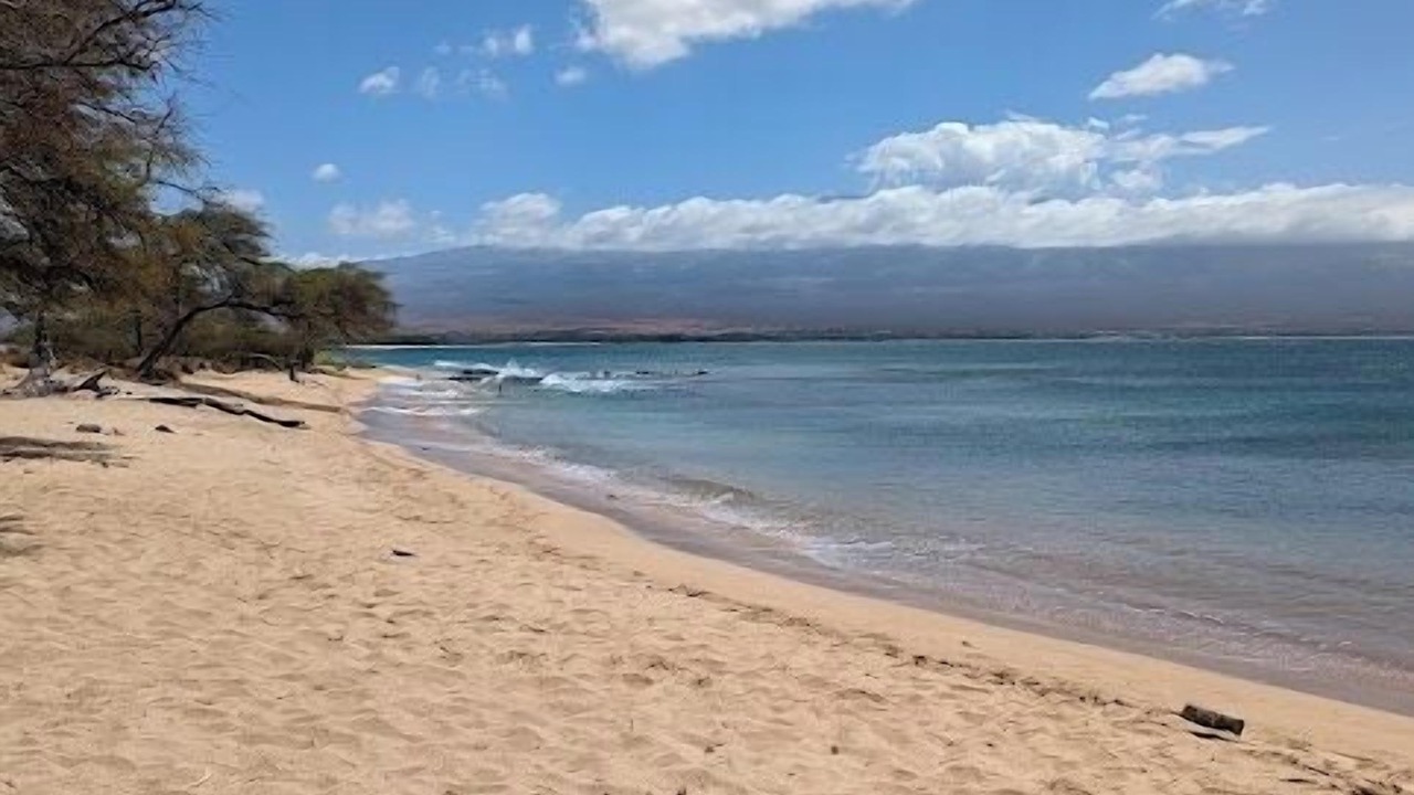 Photo of Others in Maalaea