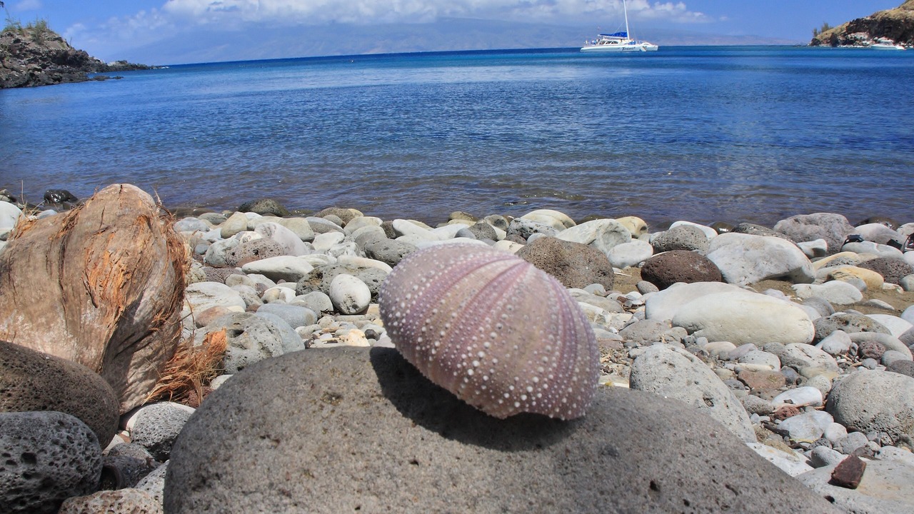 Photo of Others in Maalaea
