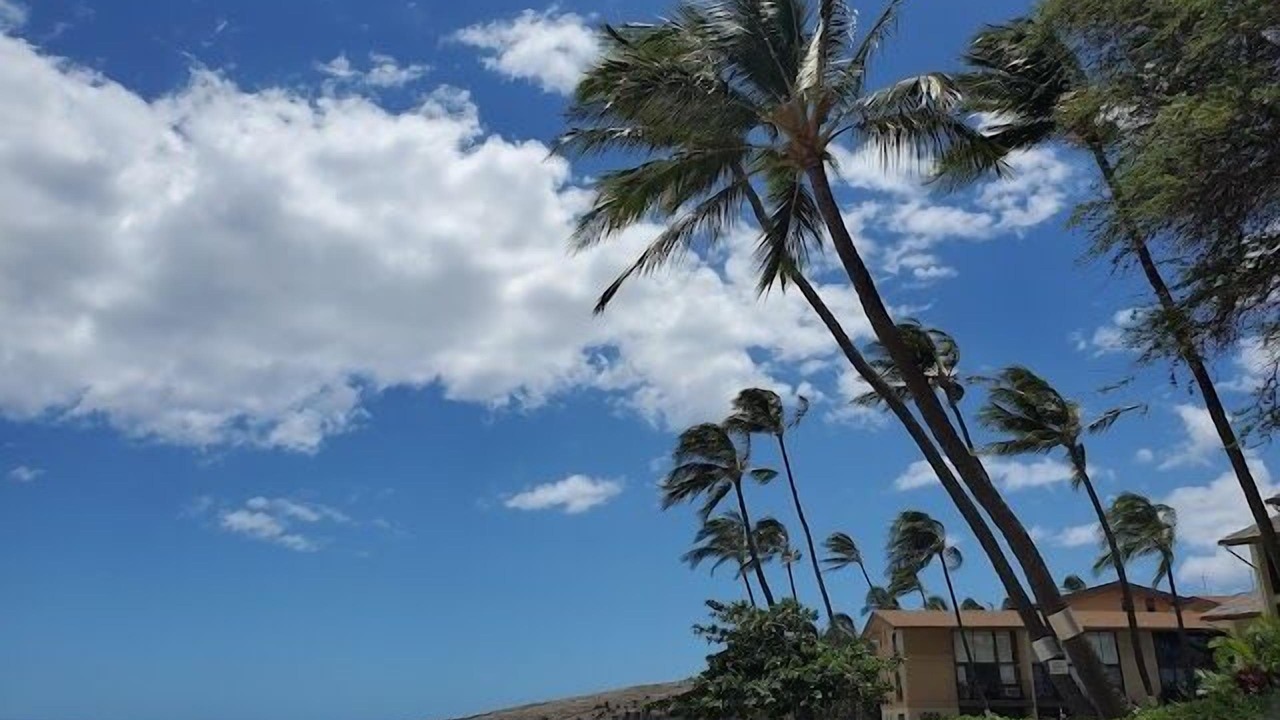 Photo of Others in Maalaea