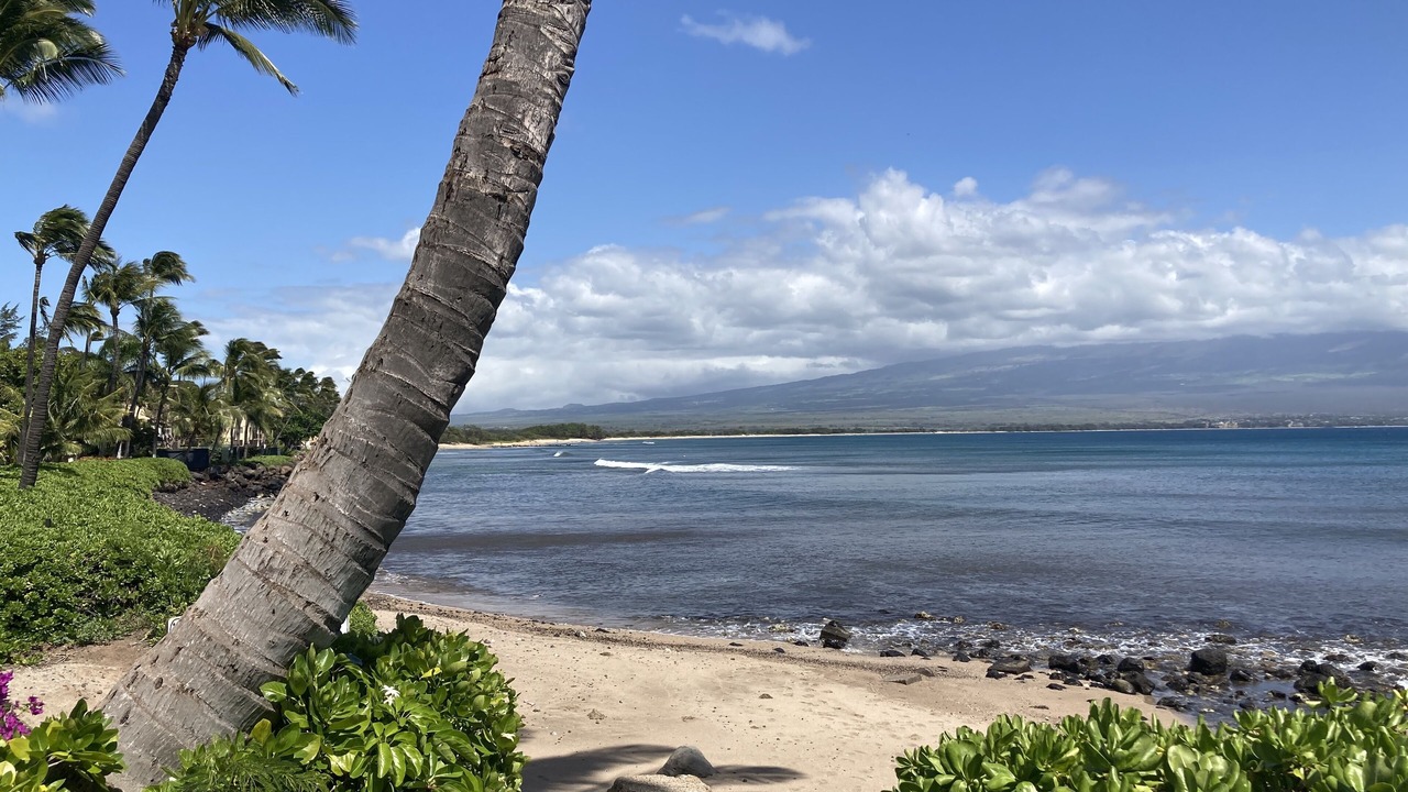 Photo of Others in Maalaea