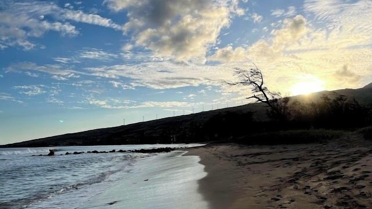 Photo of Others in Maalaea