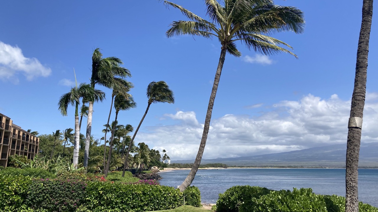 Photo of Others in Maalaea