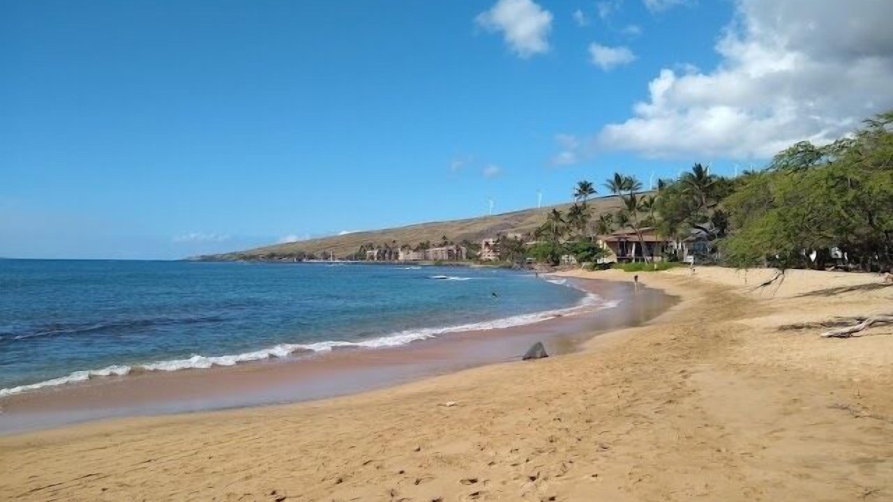 Photo of Others in Maalaea