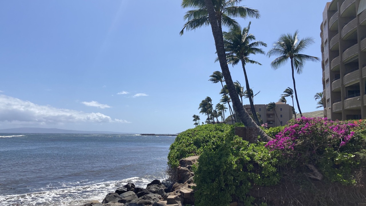 Photo of Others in Maalaea